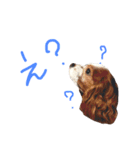たろうキャバリア1（個別スタンプ：9）