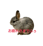 おかもとふうちゃん2（個別スタンプ：3）