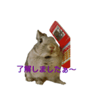 おかもとふうちゃん2（個別スタンプ：4）