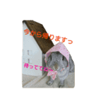 おかもとふうちゃん2（個別スタンプ：7）