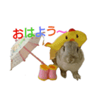 おかもとふうちゃん2（個別スタンプ：16）