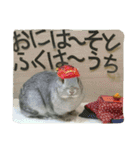 おかもとふうちゃん2（個別スタンプ：19）