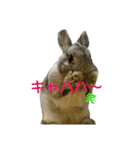 おかもとふうちゃん2（個別スタンプ：22）