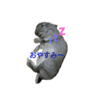 おかもとふうちゃん2（個別スタンプ：24）