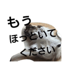 パピヨン メルちゃん（個別スタンプ：28）