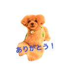 甘えん坊のトイプー モコ（個別スタンプ：15）