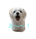 ぼくはペルル（個別スタンプ：3）