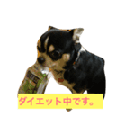 ぶさかわライフ（個別スタンプ：2）