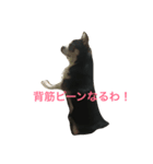 ぶさかわライフ（個別スタンプ：3）