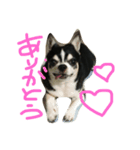 ぶさかわライフ（個別スタンプ：6）