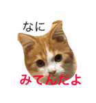 りゅうたろう君の日常〜ドタバタ編〜（個別スタンプ：1）