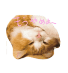りゅうたろう君の日常〜ドタバタ編〜（個別スタンプ：8）