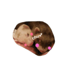 もふもふフェレちゃんず2（個別スタンプ：16）