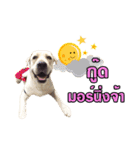 Ms.Berry The Lab.（個別スタンプ：7）
