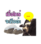 Ms.Berry The Lab.（個別スタンプ：8）