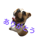 コタローU^ェ^U（個別スタンプ：7）