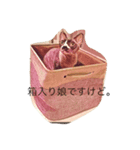 毛なしのスフィンクス ななちゃん（個別スタンプ：1）