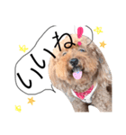ろこくん！★（個別スタンプ：5）