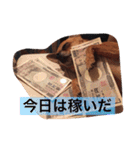 スムースコートチワワの毎日（個別スタンプ：24）