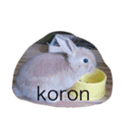 Koron ＆ Coco（個別スタンプ：1）