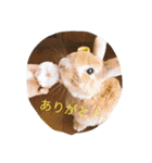 Koron ＆ Coco（個別スタンプ：12）