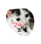日常の言葉（だんだん、まー、みあ、むあ）（個別スタンプ：7）