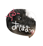 日常の言葉（だんだん、まー、みあ、むあ）（個別スタンプ：12）