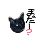 イクヲと仲間たち4（個別スタンプ：6）