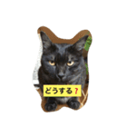 イクヲと仲間たち4（個別スタンプ：9）