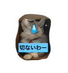 イクヲと仲間たち4（個別スタンプ：14）