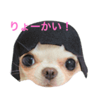 ★びっけ学園★きゅなな組（個別スタンプ：3）