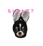 ★びっけ学園★きゅなな組（個別スタンプ：9）
