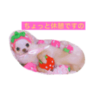 ★びっけ学園★きゅなな組（個別スタンプ：12）