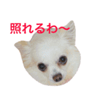 ★びっけ学園★きゅなな組（個別スタンプ：13）