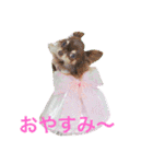★びっけ学園★きゅなな組（個別スタンプ：16）