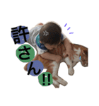 とますけ2（個別スタンプ：28）
