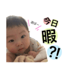 とますけ2（個別スタンプ：32）