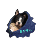 うぉ〜く.（個別スタンプ：8）
