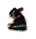 うぉ〜く.（個別スタンプ：12）