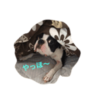うぉ〜く.（個別スタンプ：30）