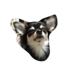Lovelydogs（個別スタンプ：4）