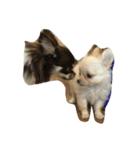 Lovelydogs（個別スタンプ：8）