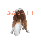 キャバちゃんスタンプ（個別スタンプ：2）