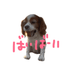 キャバちゃんスタンプ（個別スタンプ：7）