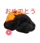 ティアラとポコとクー3（個別スタンプ：8）