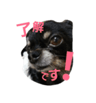 kotaroow2（個別スタンプ：7）