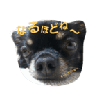 kotaroow2（個別スタンプ：9）