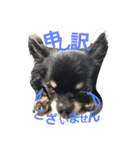 kotaroow2（個別スタンプ：10）