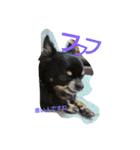 kotaroow2（個別スタンプ：11）