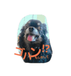 kotaroow2（個別スタンプ：12）